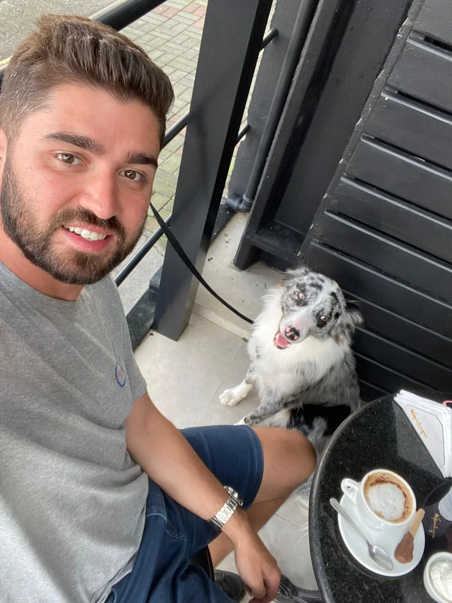 Border Collie adulto preço